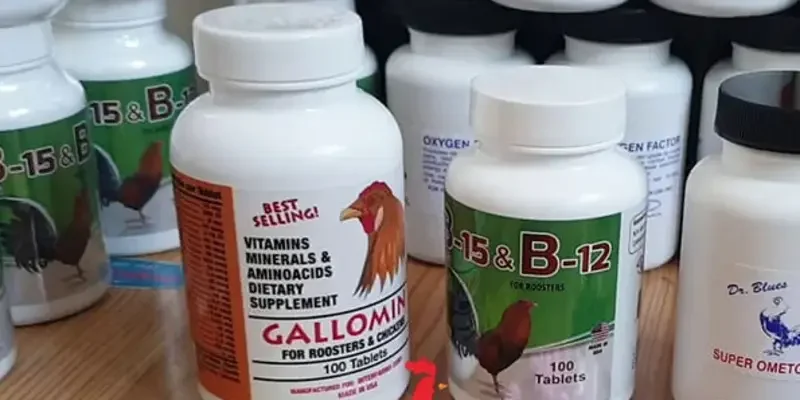 Thuốc Nuôi Gà Tre Đá - Danh Sách Các Loại Sử Dụng Hiệu Quả 1 Gallomin là sản phẩm từ Mỹ, nhiều sư kê chuyên nghiệp đánh giá cao