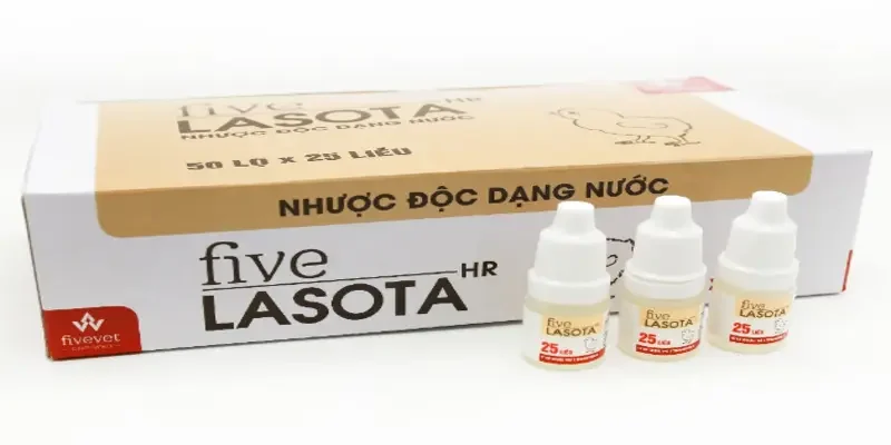 Thời điểm gà cần được tiêm vắc xin Lasota để phòng tránh bệnh